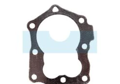Joint De Culasse Pour Moteur Briggs & Stratton (799875)