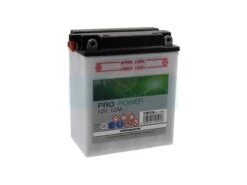 Batterie Tondeuse 12V 12Ah (12N12A-4A1)