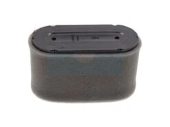 Filtre à Air Pour Moteur Loncin (180100097-0001)