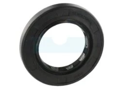 Joint Spi Pour Moteur Briggs & Stratton (712070)