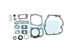 Pochette De Joint Pour Briggs & Stratton (496055)