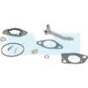 Kit Réparation Carburateur Pour Moteur Briggs & Stratton (590453)