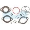 Kit Réparation Carburateur Pour Moteur Briggs & Stratton (796137) -Motoculture Magasin az796137 zoo